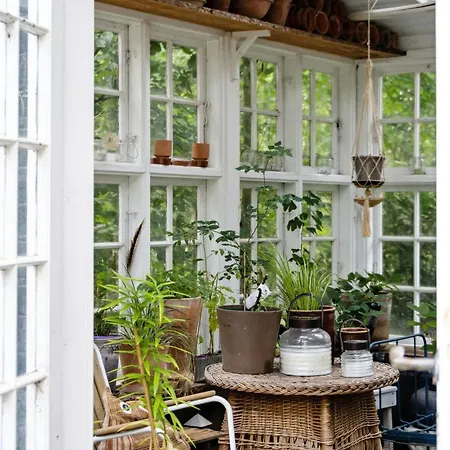With Orangery Near And Forest Vig