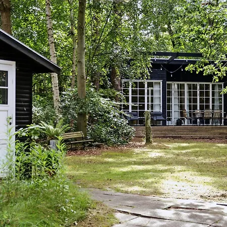 With Orangery Near And Forest * Vig