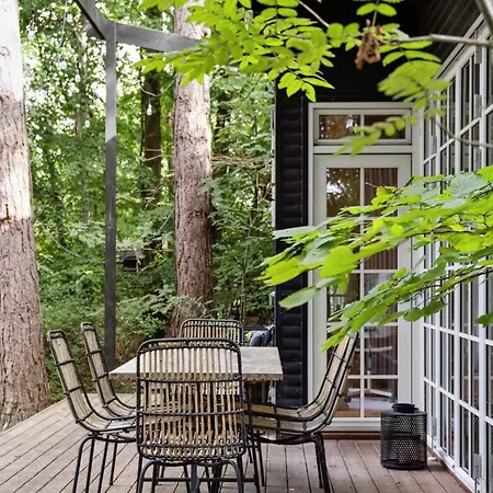 With Orangery Near And Forest Vig