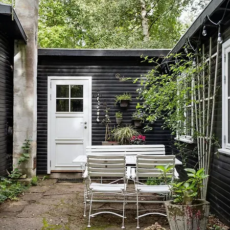 With Orangery Near And Forest *
