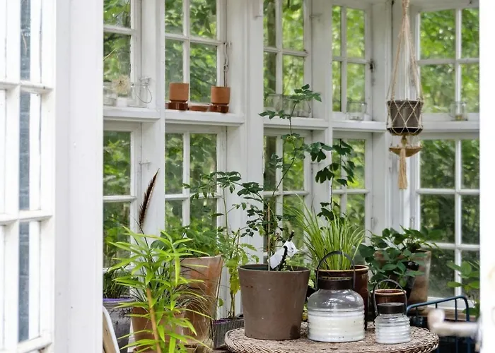 With Orangery Near And Forest Vig